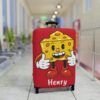 Cheeze Luggage Cover 6 - Luggage Cover UK Store