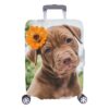 Personalized Photo Luggage Cover 2 - Luggage Cover UK Store