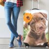 Personalized Photo Luggage Cover 5 - Luggage Cover UK Store